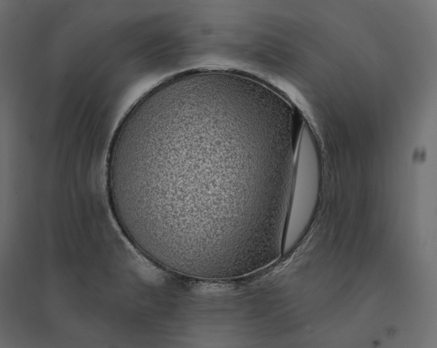 X0000094421183200711211404