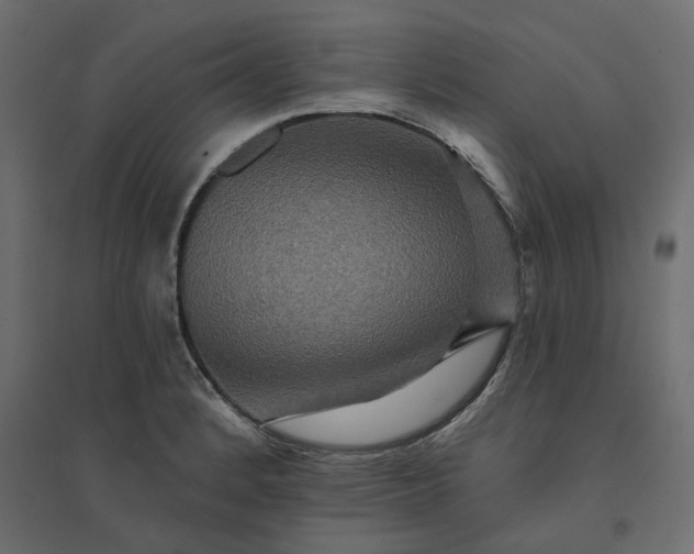 X0000094421184200711211404