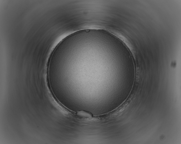 X0000094421187200711211404