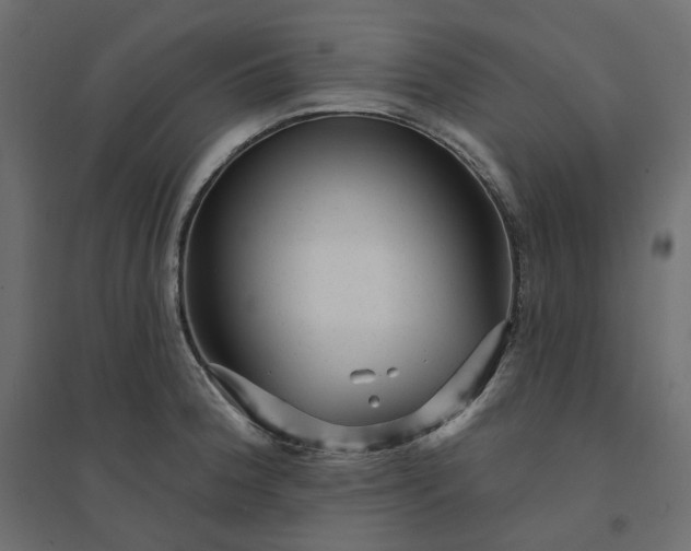 X0000094421188200711211404
