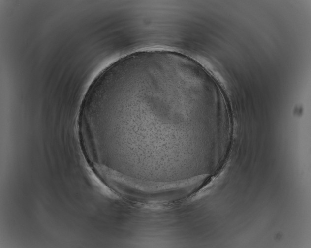 X0000094421189200711211404