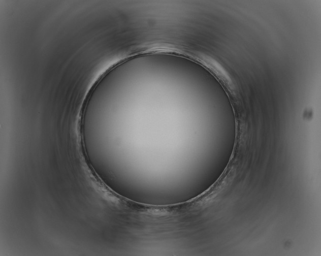 X0000094421190200711211404