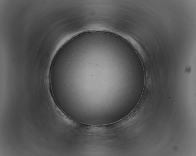 X0000094421191200711211404