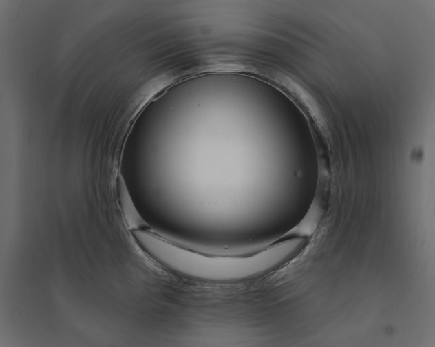 X0000094421193200711211404