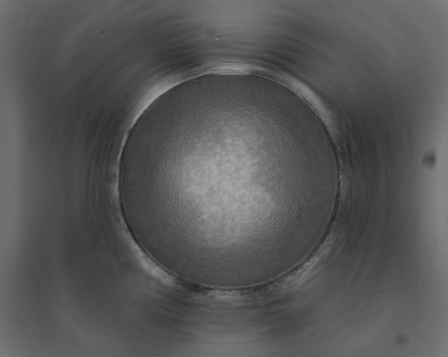 X0000094421194200711211404
