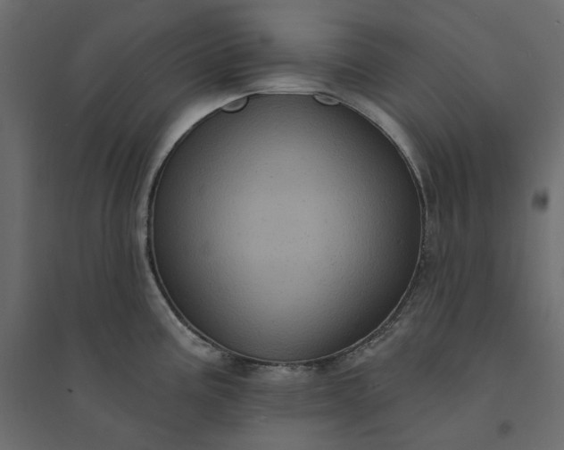X0000094421195200711211404