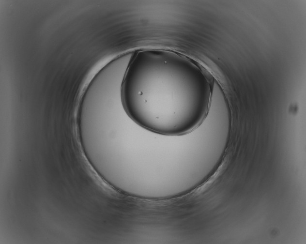 X0000094421196200711211403