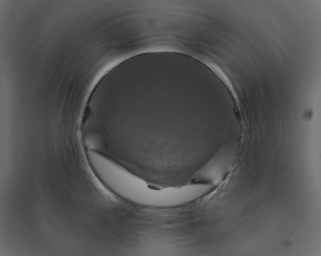 X0000094421197200711211403