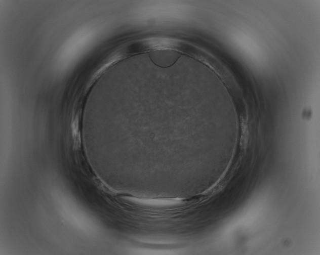 X0000094421198200711211403