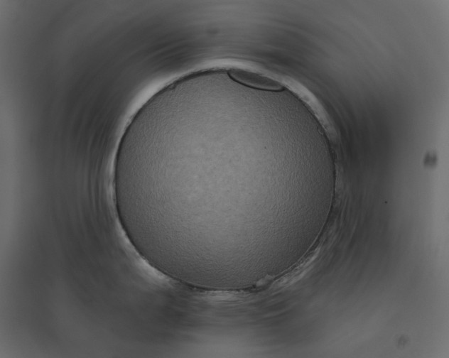 X0000094421199200711211403
