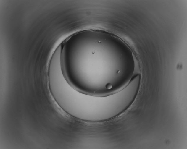 X0000094421200200711211403