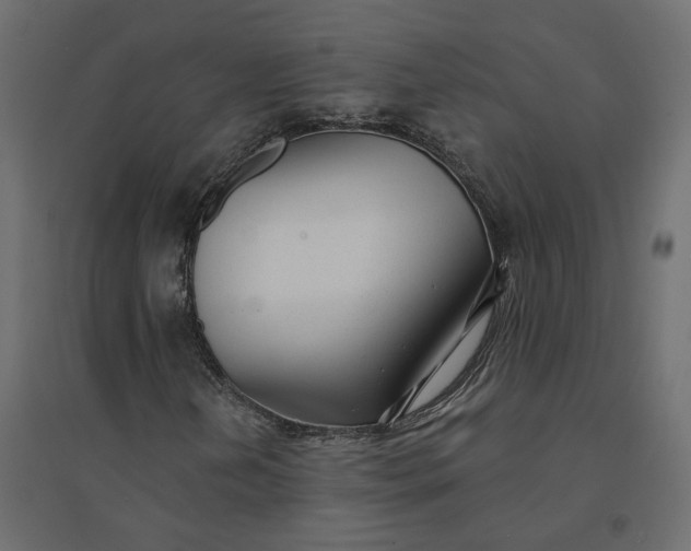 X0000094421202200711211403