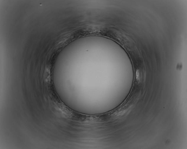 X0000094421203200711211403