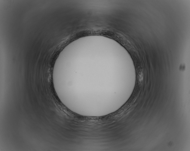 X0000094421204200711211403