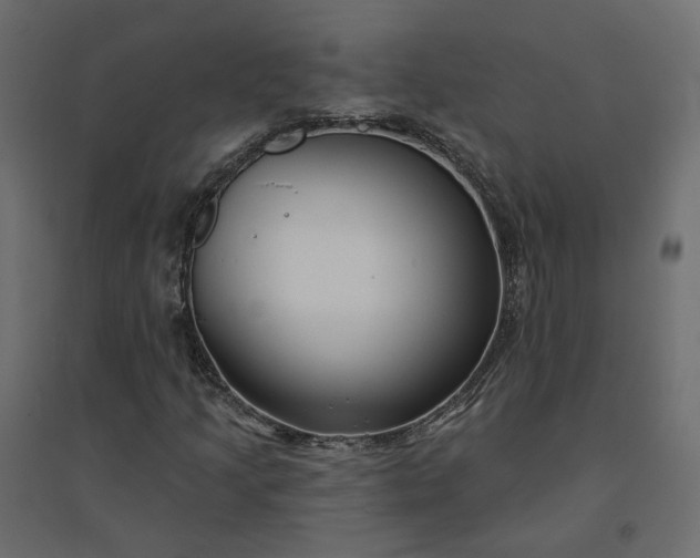 X0000094421205200711211403