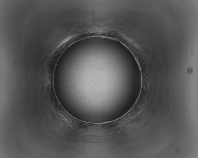 X0000094421206200711211403