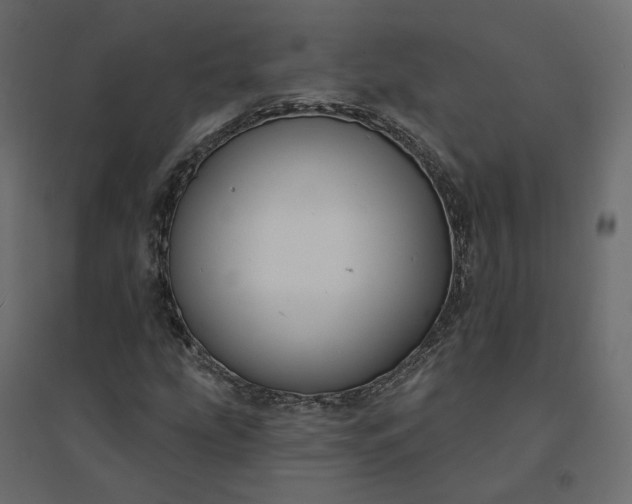 X0000094421207200711211403