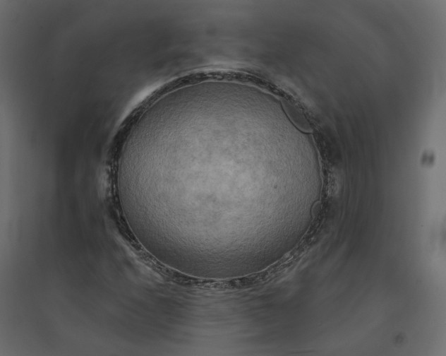 X0000094421208200711211403