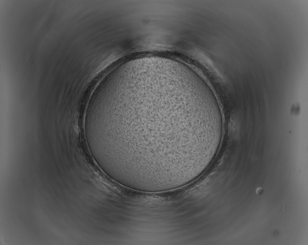 X0000094421209200711211403