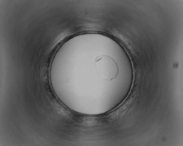 X0000094421211200711211403
