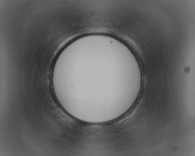 X0000094421212200711211403