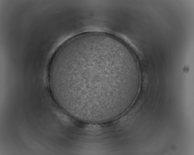 X0000094421215200711211403