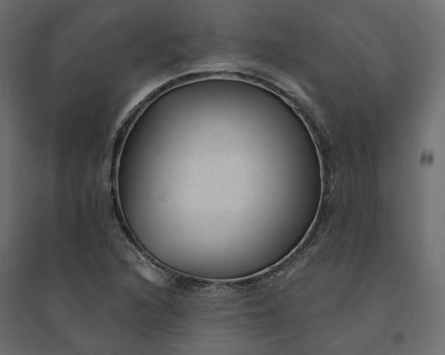 X0000094421216200711211403
