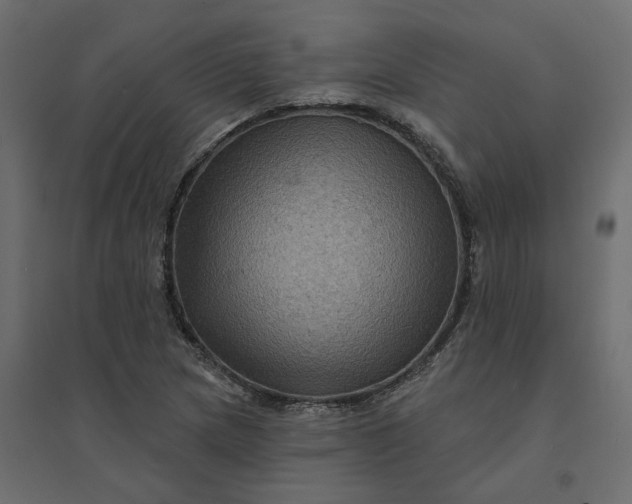 X0000094421217200711211403