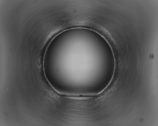 X0000094421218200711211403