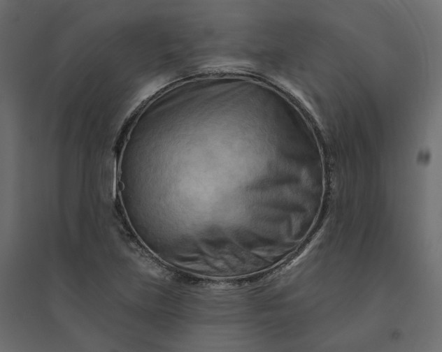 X0000094421219200711211403