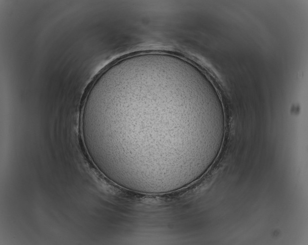 X0000094421220200711211403