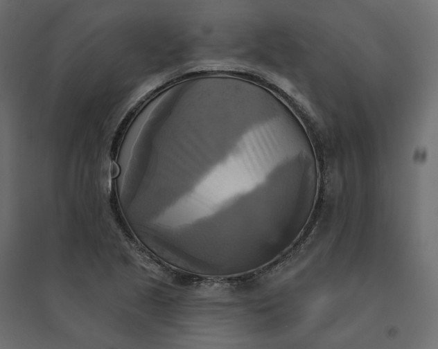X0000094421221200711211403