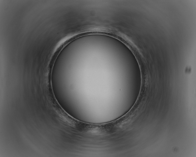X0000094421222200711211403