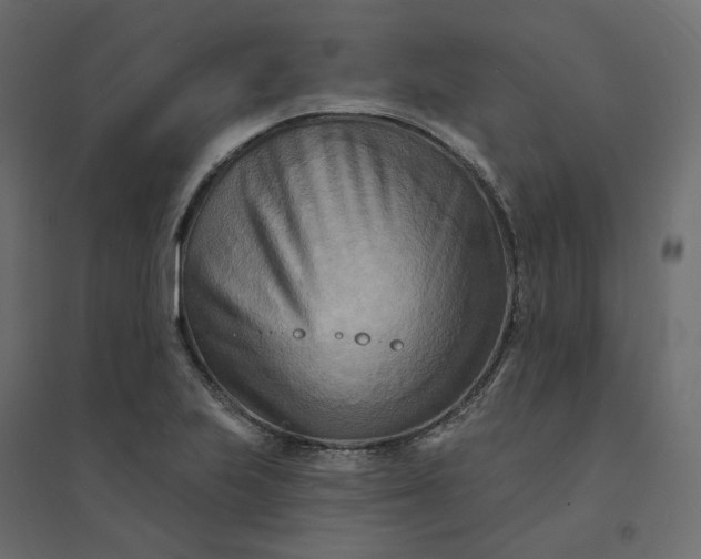 X0000094421223200711211403