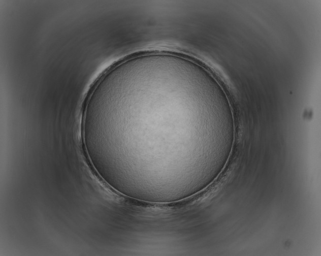 X0000094421224200711211403