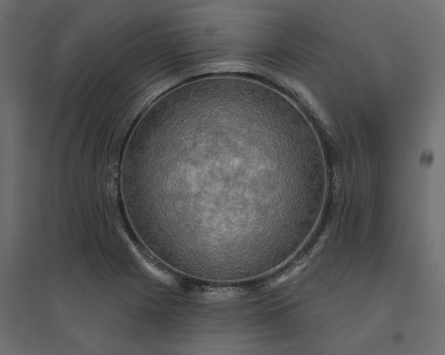 X0000094421225200711211403