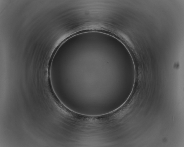 X0000094421226200711211403