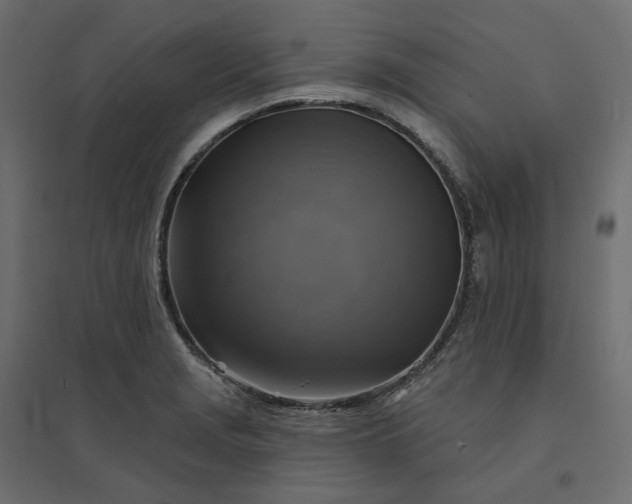 X0000094421229200711211403