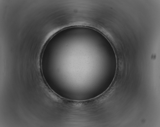 X0000094421230200711211403