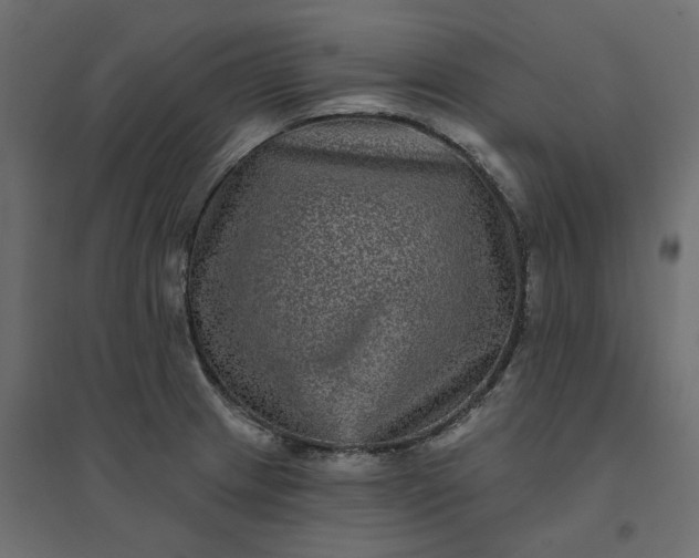 X0000094421233200711211403