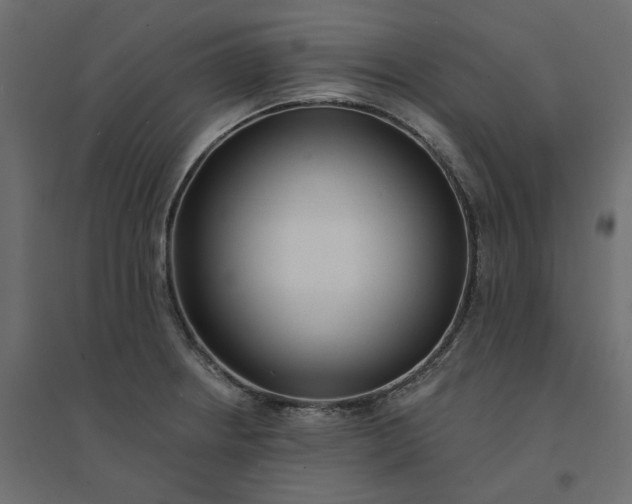 X0000094421234200711211403