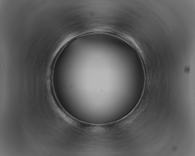 X0000094421235200711211403