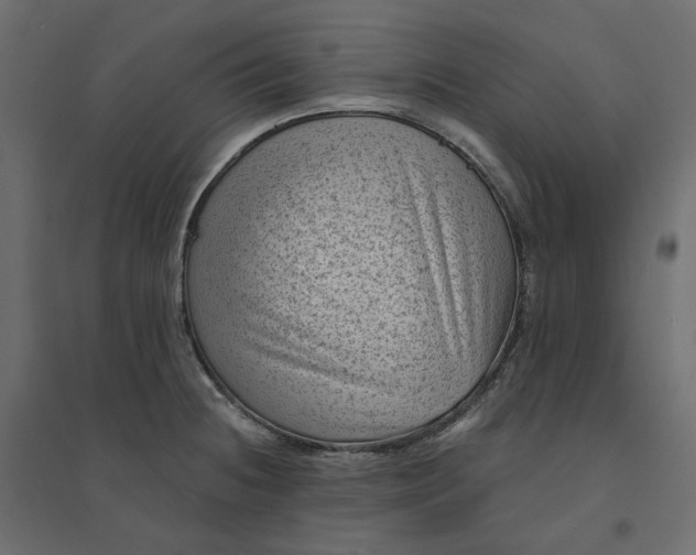 X0000094421236200711211403