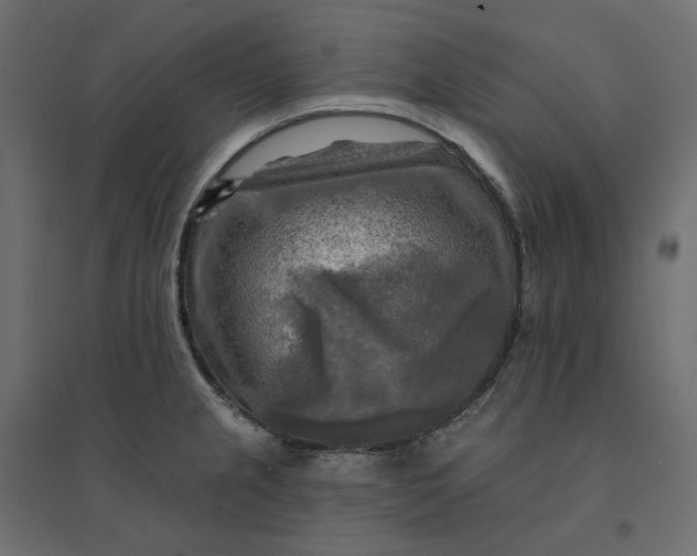 X0000094421237200711211403