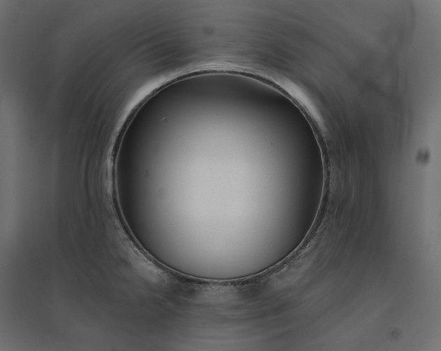 X0000094421238200711211403