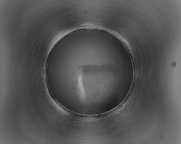 X0000094421239200711211403