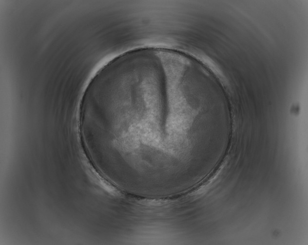 X0000094421240200711211403