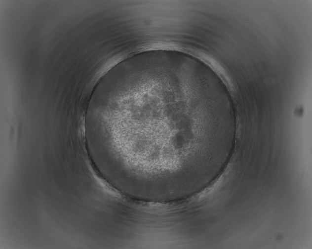 X0000094421241200711211403