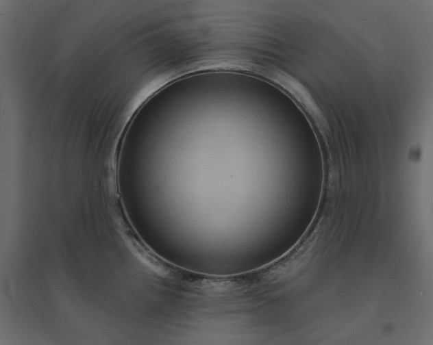 X0000094421242200711211403