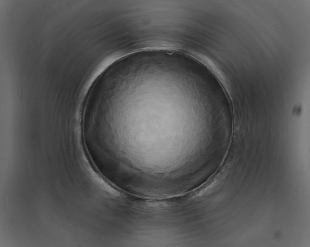 X0000094421243200711211403